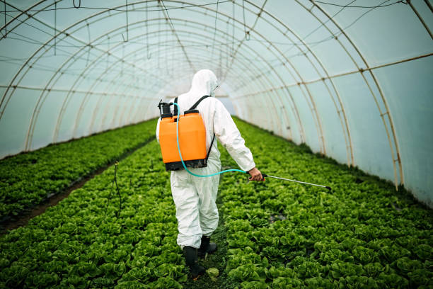 Best Emergency Pest Control  in Lake Isabella, MI