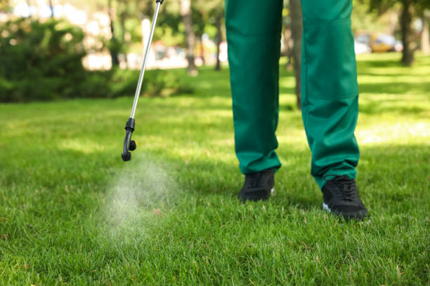 Best Affordable Pest Control Services  in Lake Isabella, MI