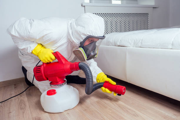 Best Affordable Pest Control Services  in Lake Isabella, MI