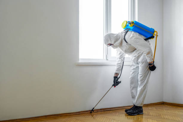 Trusted Lake Isabella, MI Pest Control Experts