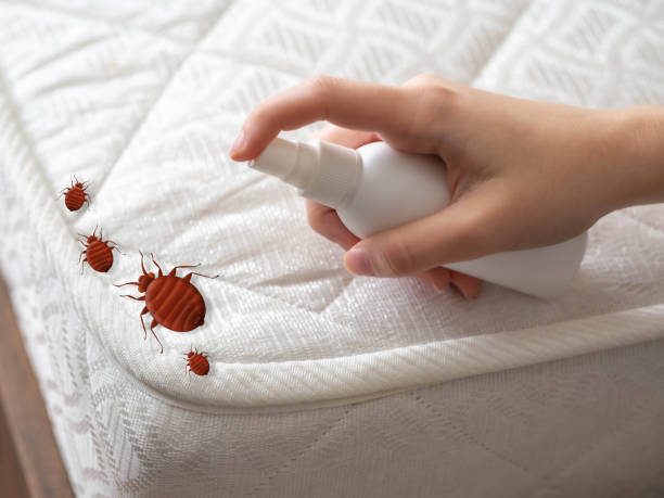 Best Pest Prevention Services  in Lake Isabella, MI