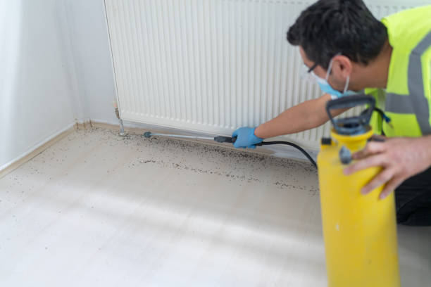 Best Mosquito Control Services  in Lake Isabella, MI