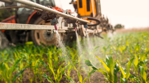 Best Commercial Pest Control Services  in Lake Isabella, MI