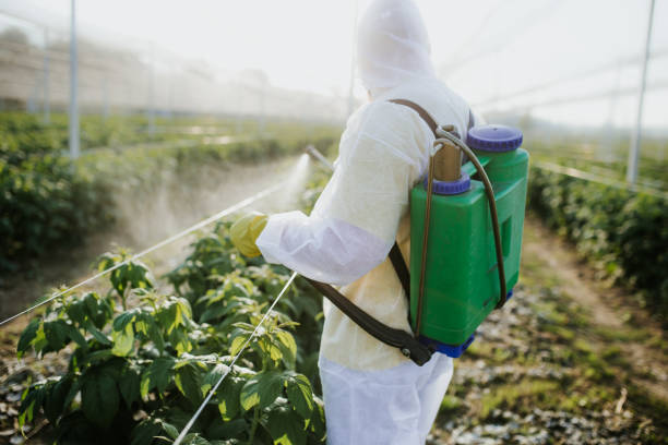 Best Wasp Removal Services  in Lake Isabella, MI
